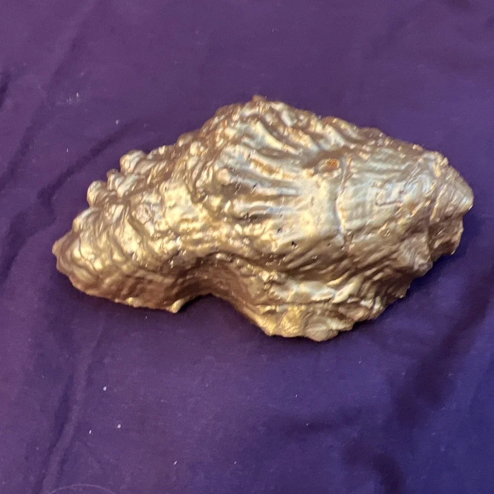 Shelly Cove beautiful hand
